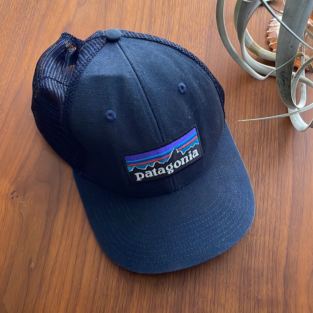 Patagonia logo snapback hat.